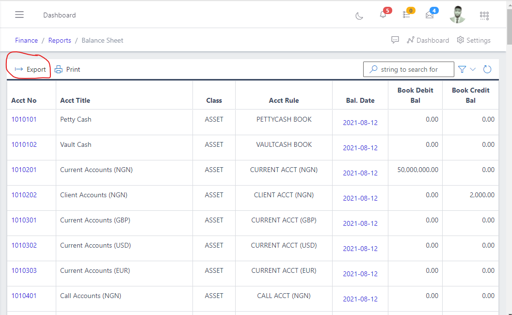 Image showing balance sheet export button