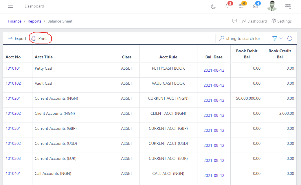 Image showing balance sheet print button