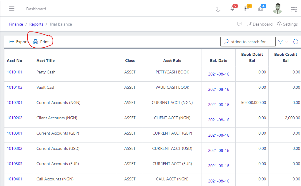 Image showing Trial balance print button